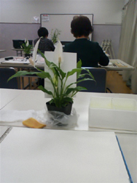 c0206645_22364323.jpg
