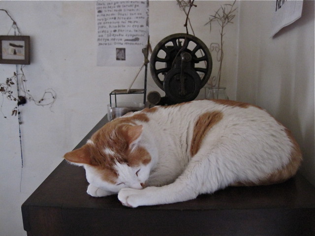 d0101846_6525013.jpg