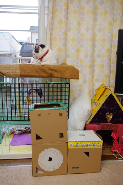 おかきの場所2_a0028451_8103757.jpg