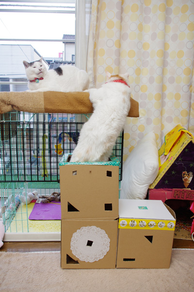 おかきの場所2_a0028451_8105058.jpg