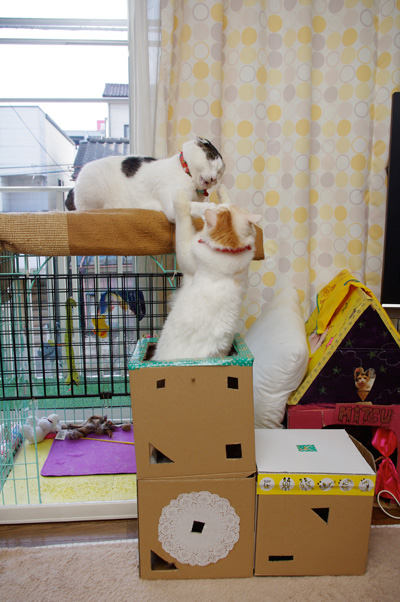 おかきの場所2_a0028451_8111785.jpg