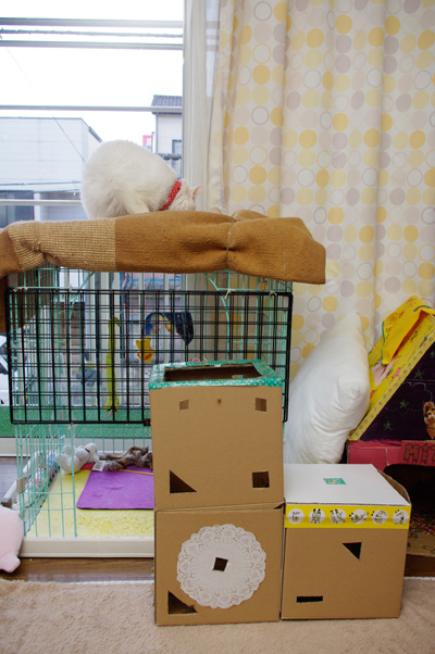 おかきの場所2_a0028451_8112925.jpg