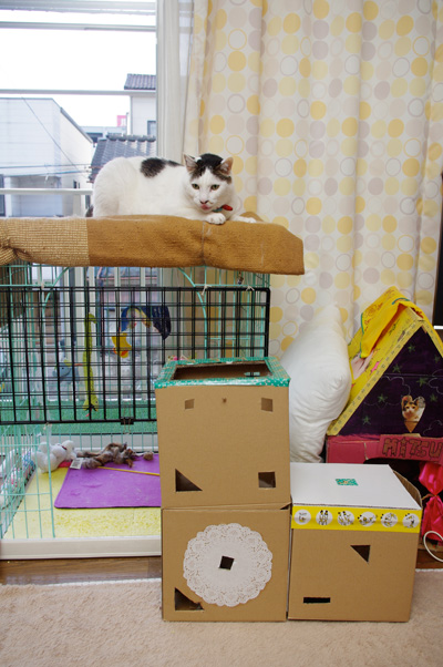 おかきの場所2_a0028451_811347.jpg