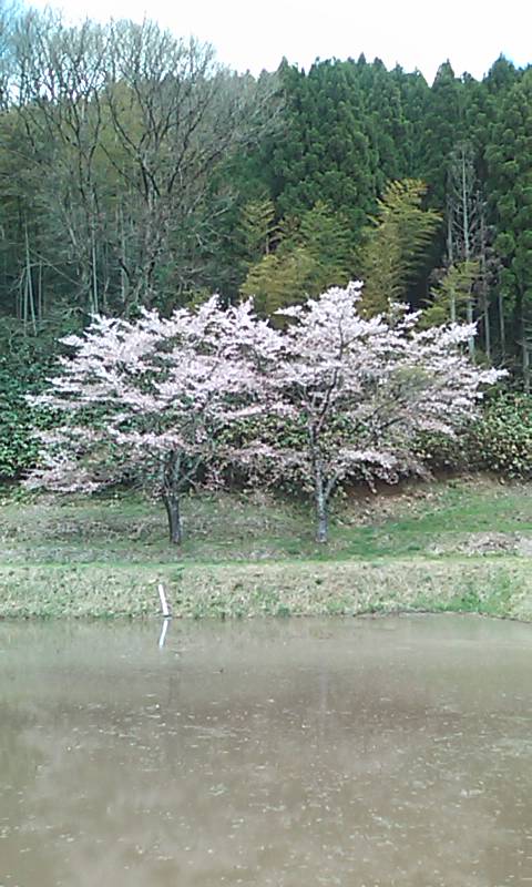 b0093361_23302761.jpg