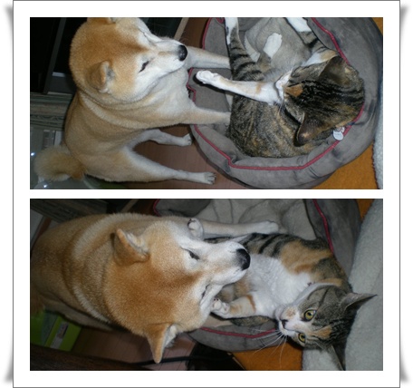 2010年4月16日(金)雨とバトルと宝くじ!_f0060461_1041651.jpg