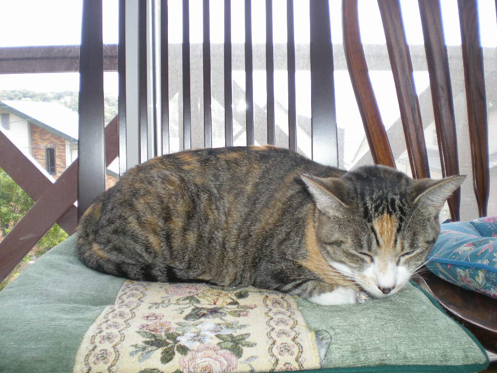 2010年4月16日(金)雨とバトルと宝くじ!_f0060461_1072643.jpg