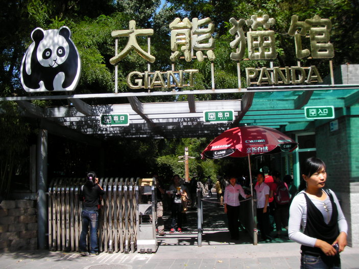 化け物中国人留学生_b0183063_17401430.jpg