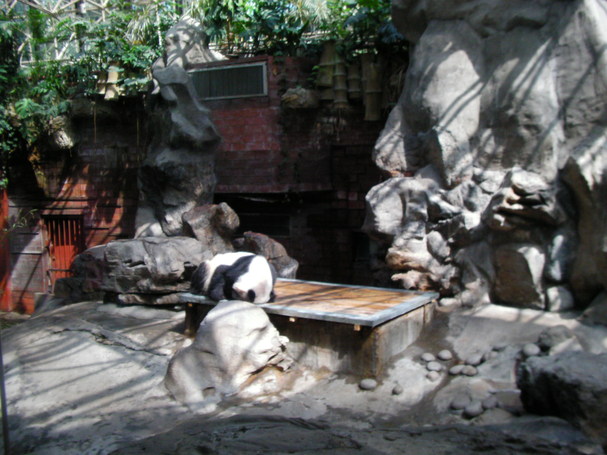 化け物中国人留学生_b0183063_17404547.jpg