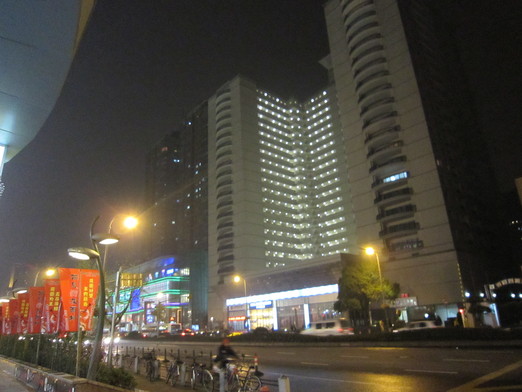 中国語レポート with 東京外国語大学中国人留学生_b0183063_21384493.jpg