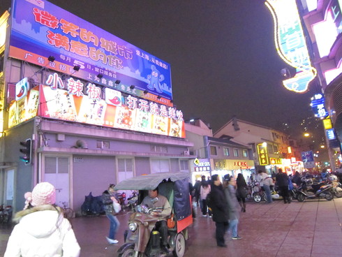 中国語レポート with 東京外国語大学中国人留学生_b0183063_21403220.jpg