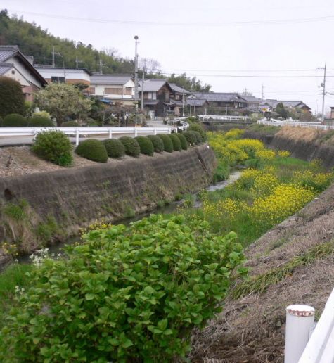 2010年4月16日（金）　桜風景_a0063364_23305190.jpg