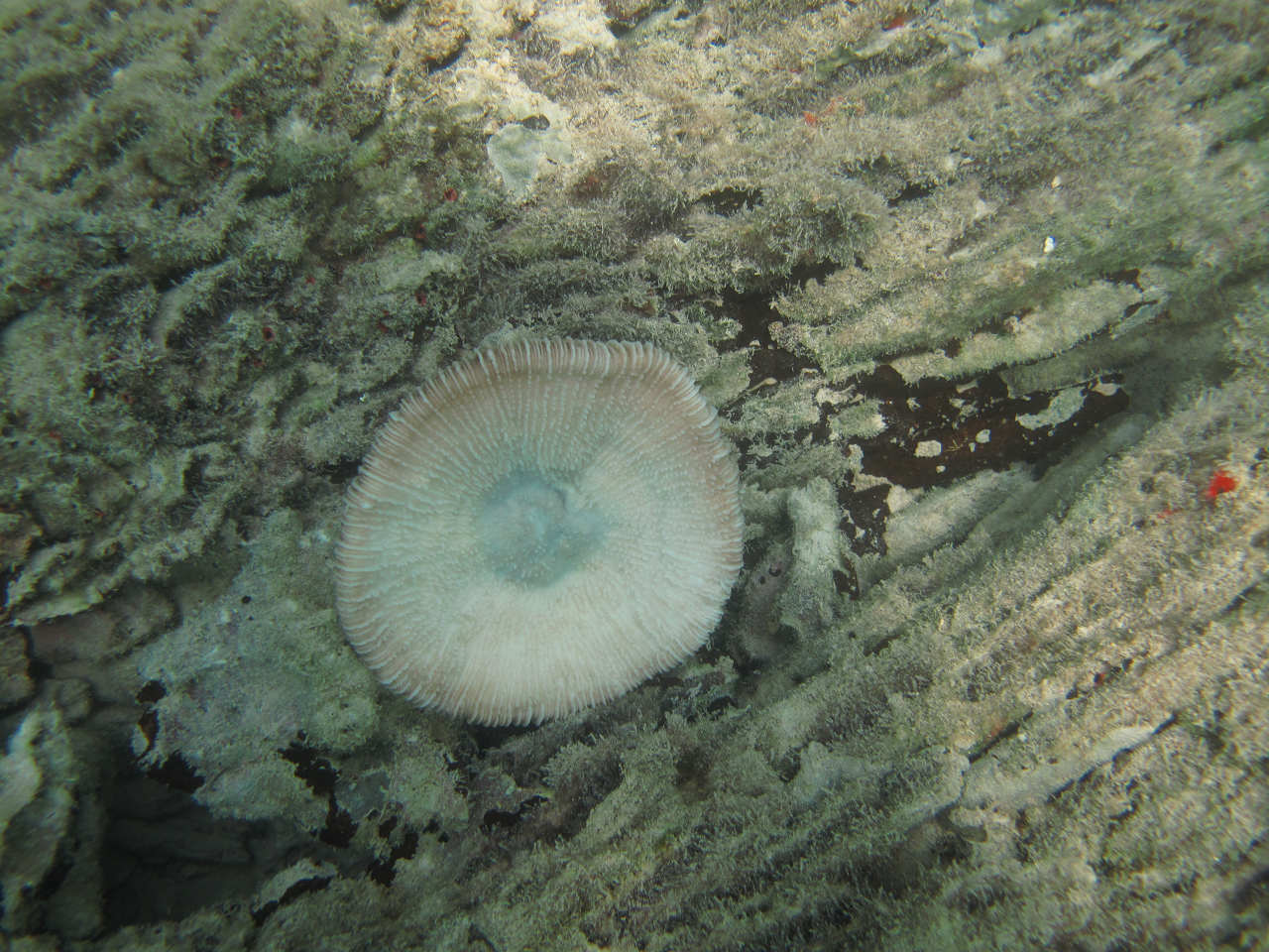 b0149365_1612887.jpg