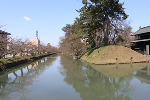 上土手町の十月桜_d0131668_19375254.jpg