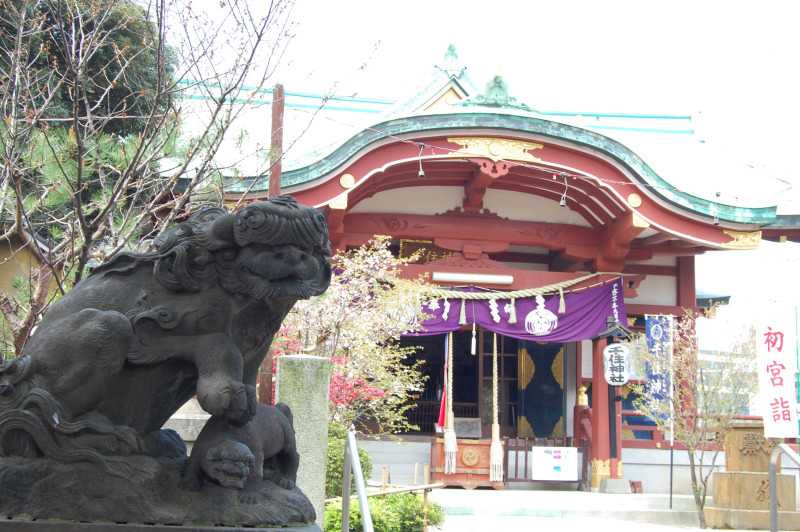 千住神社_f0234471_20555780.jpg