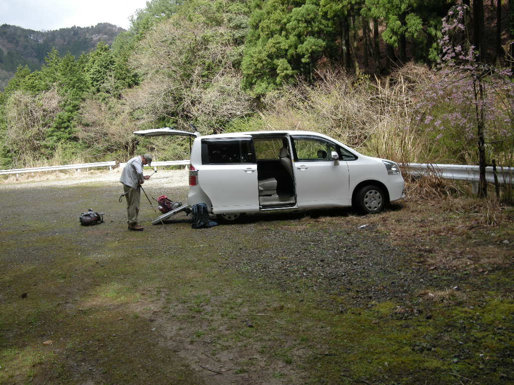 二つの天然記念物・みずめ桜と樽見の大桜 ・そしてヤマヒルお目覚め_b0185573_9351693.jpg