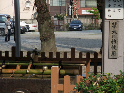 縁結び 今戸神社_c0173978_21382948.jpg