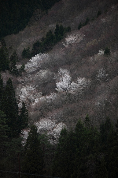 山に暮らせば_e0091879_10504340.jpg