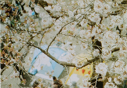 ◆日本オートキャンプショーat代々木公園 ～KONICA EYE2_e0174382_1729152.jpg