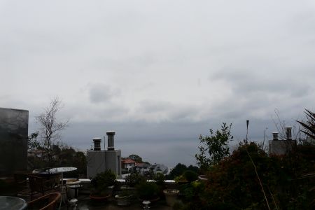 2010年4月16日 マタあ。。。。_b0098584_84642.jpg