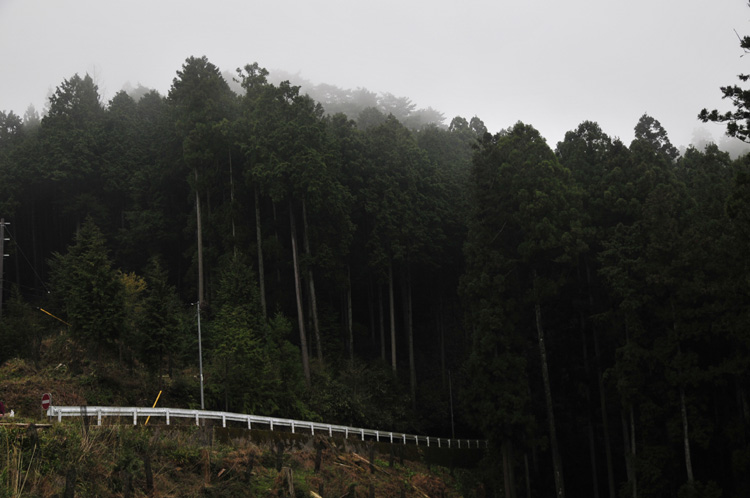 吉野山　その1_f0180085_6402123.jpg