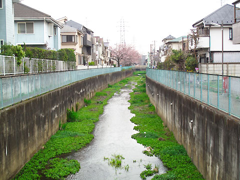 c0163001_218139.jpg
