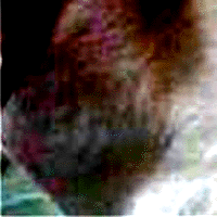 e0103408_12412287.gif