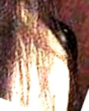 e0103408_12502856.gif