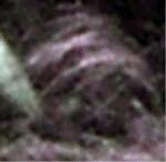 e0103408_12523642.gif