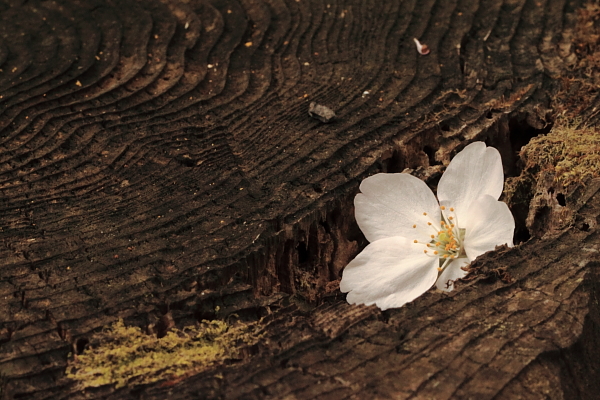 f0210808_11638.jpg