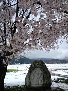 安曇野携帯発:桜後雪の安曇野_c0047814_1158318.jpg