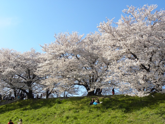c0184716_527935.jpg