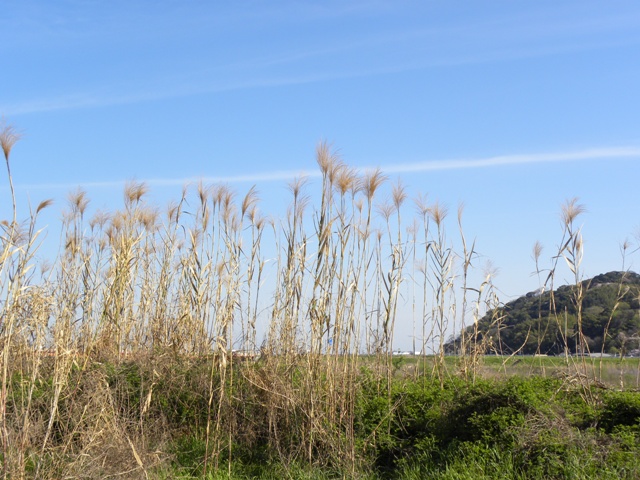 c0184716_5305153.jpg
