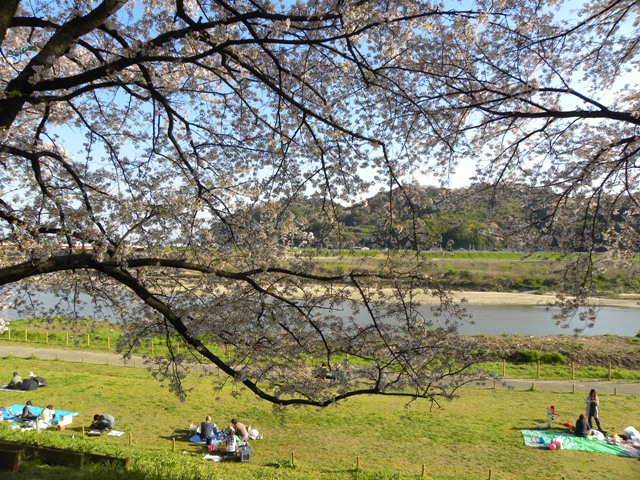 c0184716_5342531.jpg