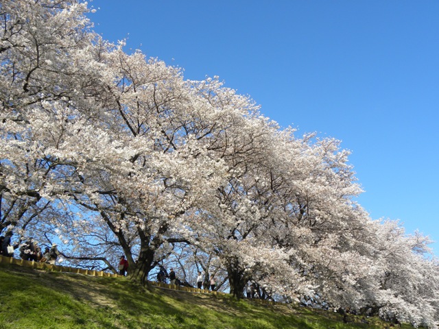 c0184716_5494981.jpg