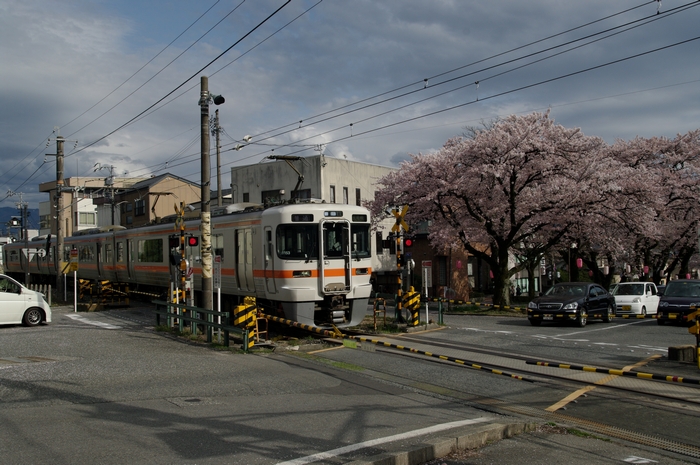 桜の、ある景色（６）_a0126019_21465014.jpg