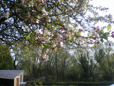 c0124619_44472.jpg