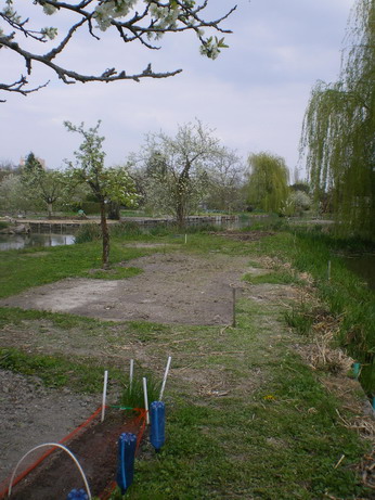 c0124619_526136.jpg