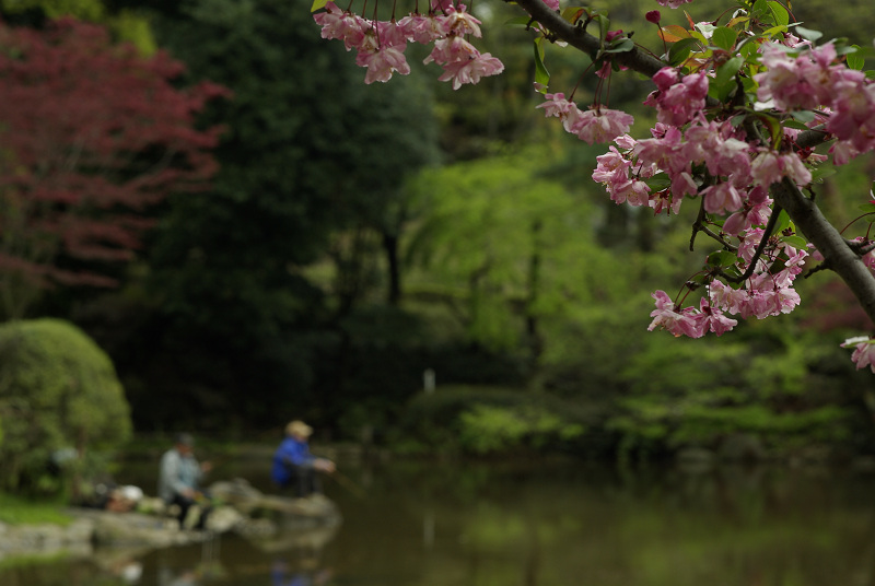 広尾から渋谷を歩く　　－有栖川記念公園-_c0101927_204030.jpg