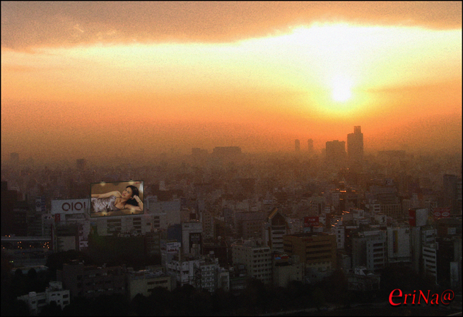 d0013329_18282897.jpg