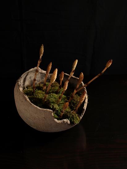 20100409.jpg