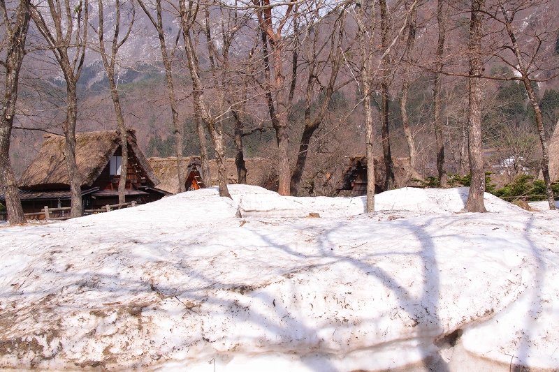 f0229832_1759482.jpg