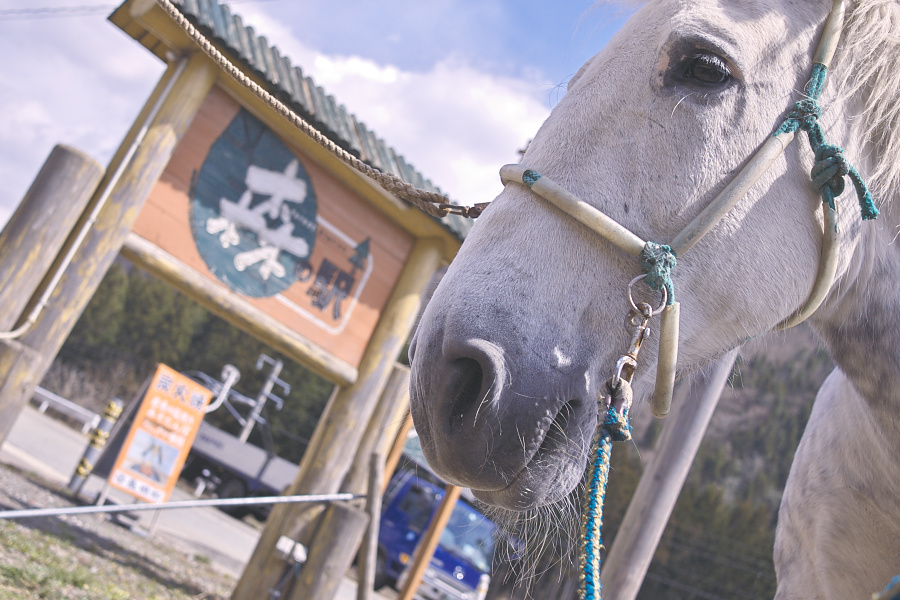 秋田県仙北市　森の駅にて_c0211639_22294619.jpg