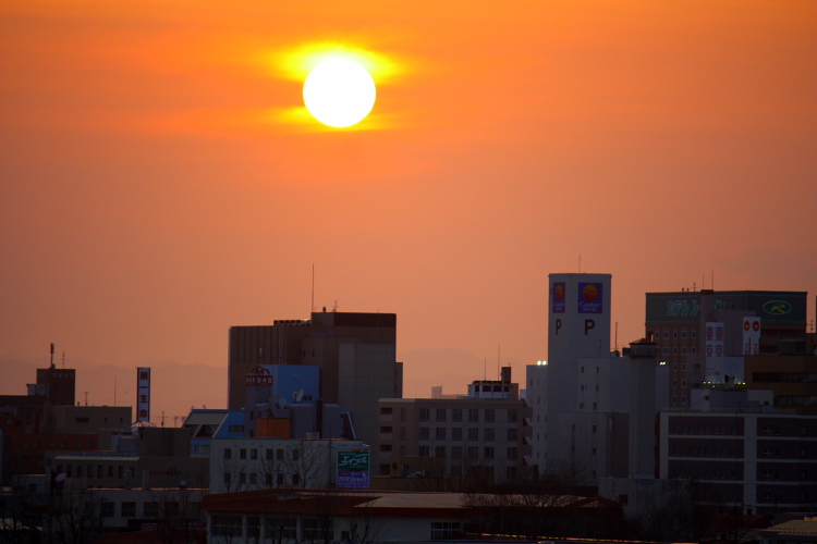 太陽にほえろ! 4月17日_f0113639_12454115.jpg