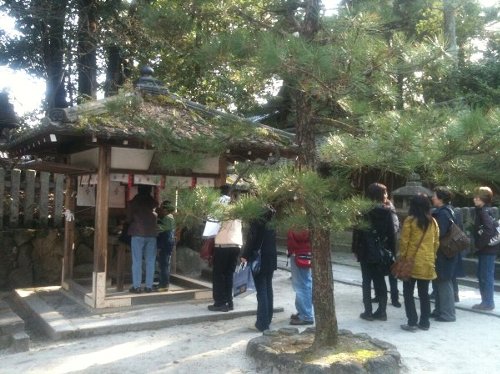 京都めぐり穴場コース　最終　今宮神社_c0154941_1401193.jpg