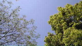 e0000445_2337766.jpg
