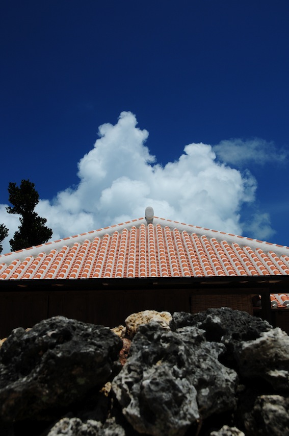 f0236145_7189.jpg