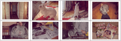b0046050_12442925.gif
