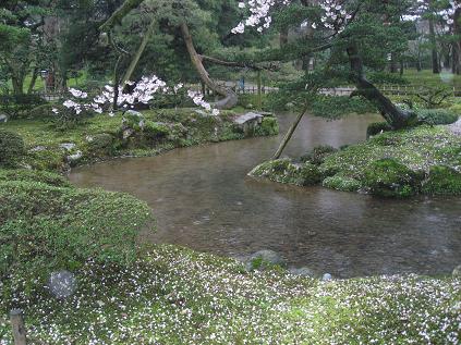 f0180552_1355014.jpg