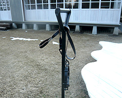 d0050155_22232912.jpg