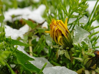 c0047856_936456.jpg